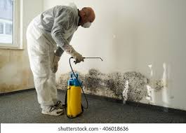 Best Comprehensive Air Testing for Mold Contaminants  in Elizabethtown, PA